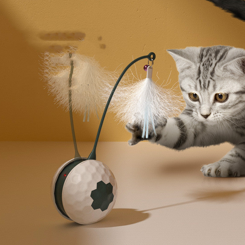 Electric Intelligent Bite Resistant Cat