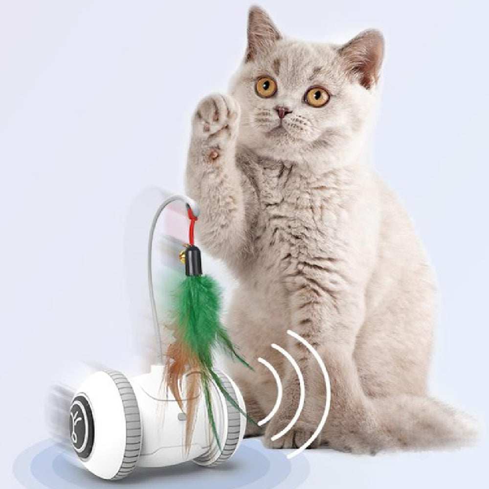 Interactive Cat Toy With Interchangeable Heads